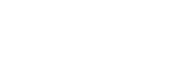 11.png